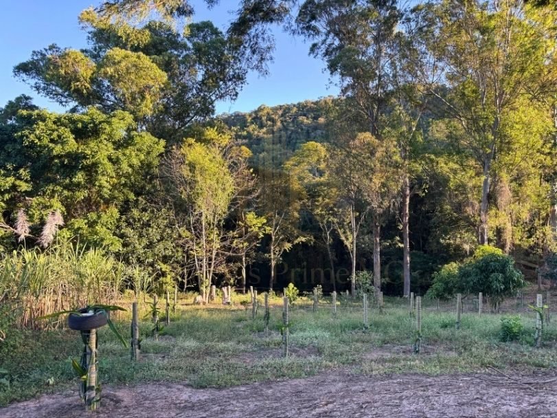 Fazenda Tombador em Itaúna/MG - Acude Mata