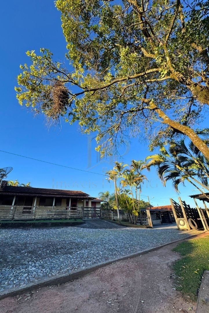 Fazenda Tombador em Itaúna/MG - Casa Arvore