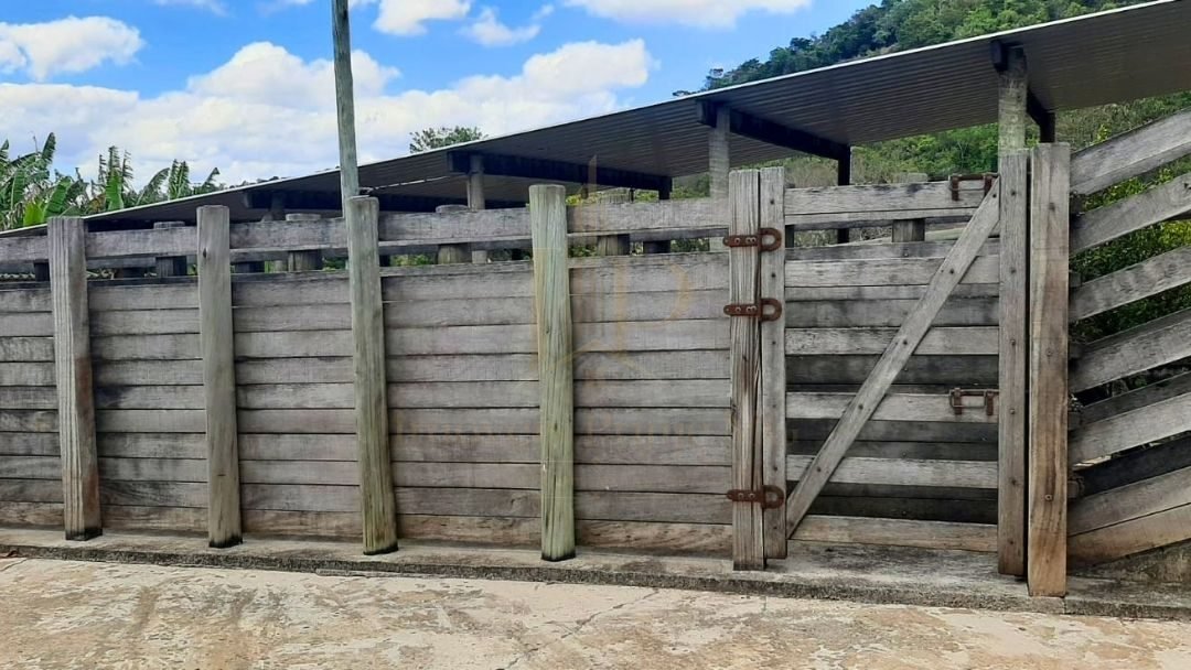 Fazenda Tombador em Itaúna/MG - Curral Branco