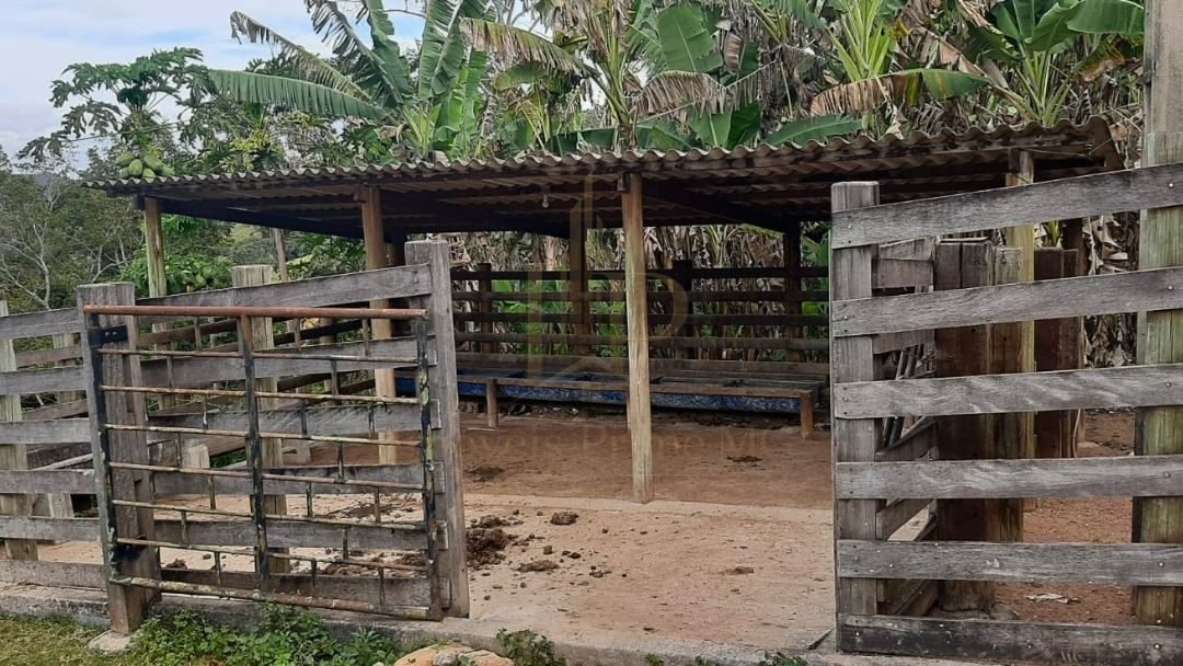 Fazenda Tombador em Itaúna/MG - Curral Coberto