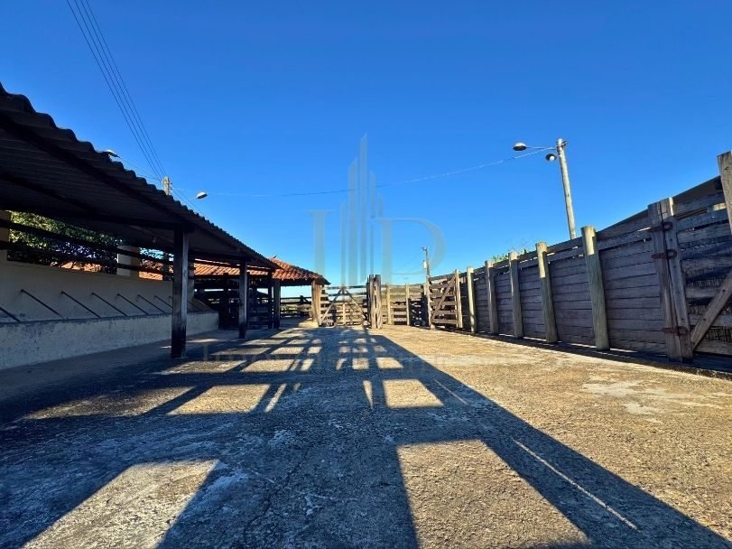 Fazenda Tombador em Itaúna/MG - Curral Rampa