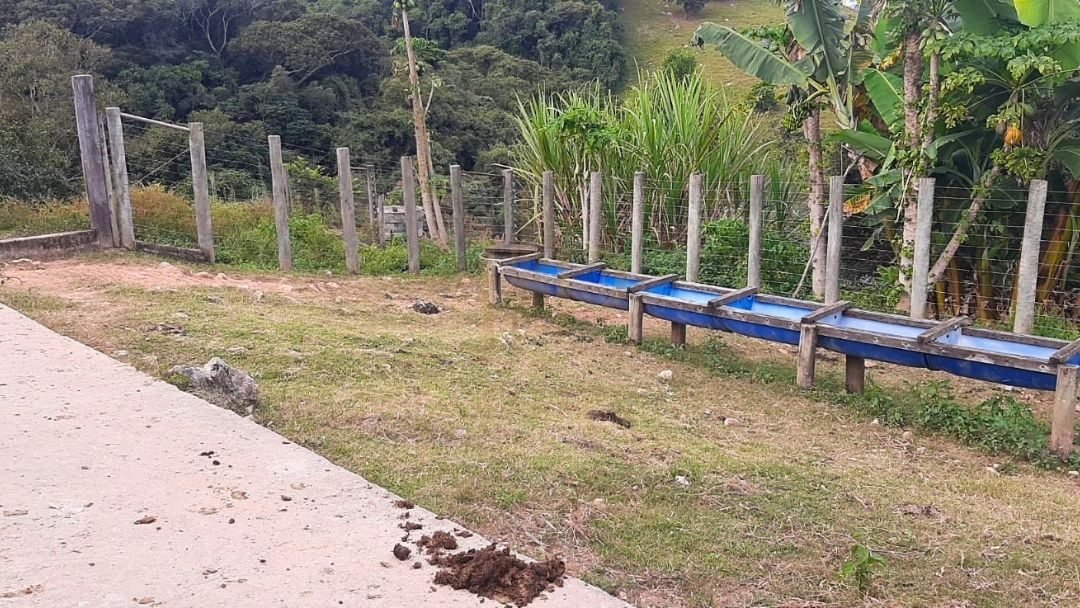 Fazenda Tombador em Itaúna/MG - Estrutura Cochos