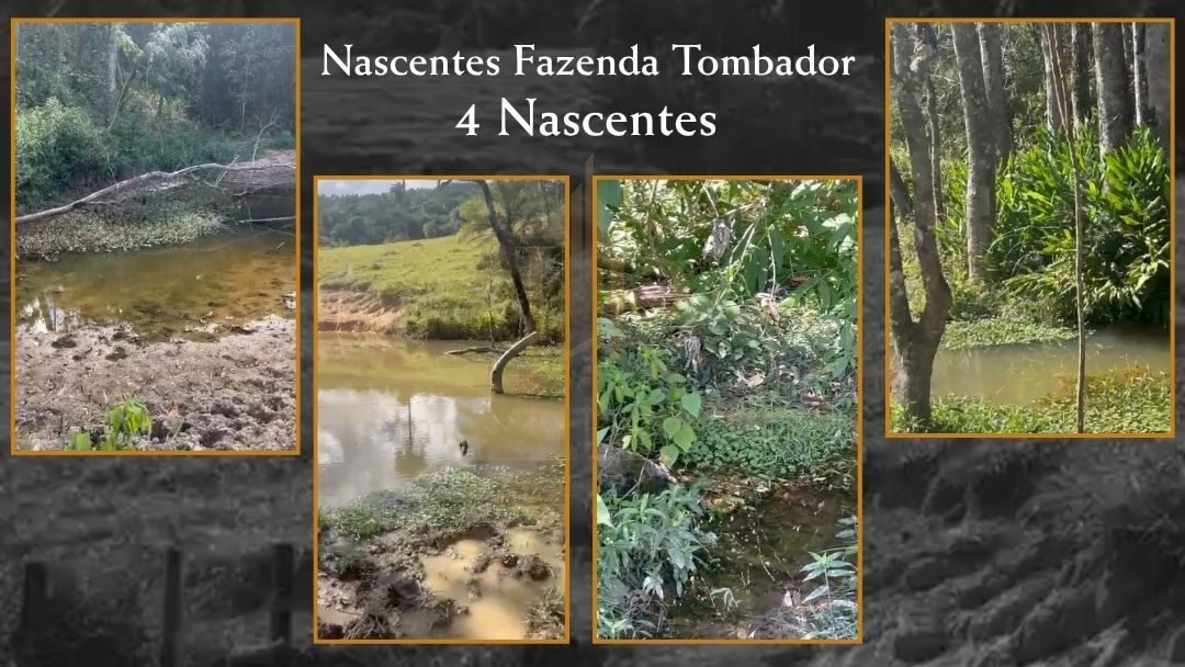 Fazenda Tombador em Itaúna/MG - Nascentes