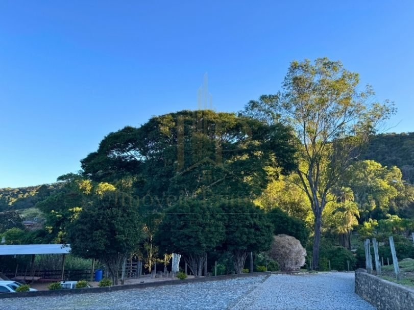 Fazenda Tombador em Itaúna/MG - Natureza Mata