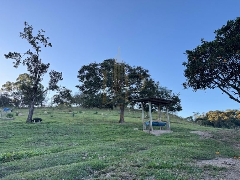 Fazenda Tombador em Itaúna/MG - Pasto Arvore