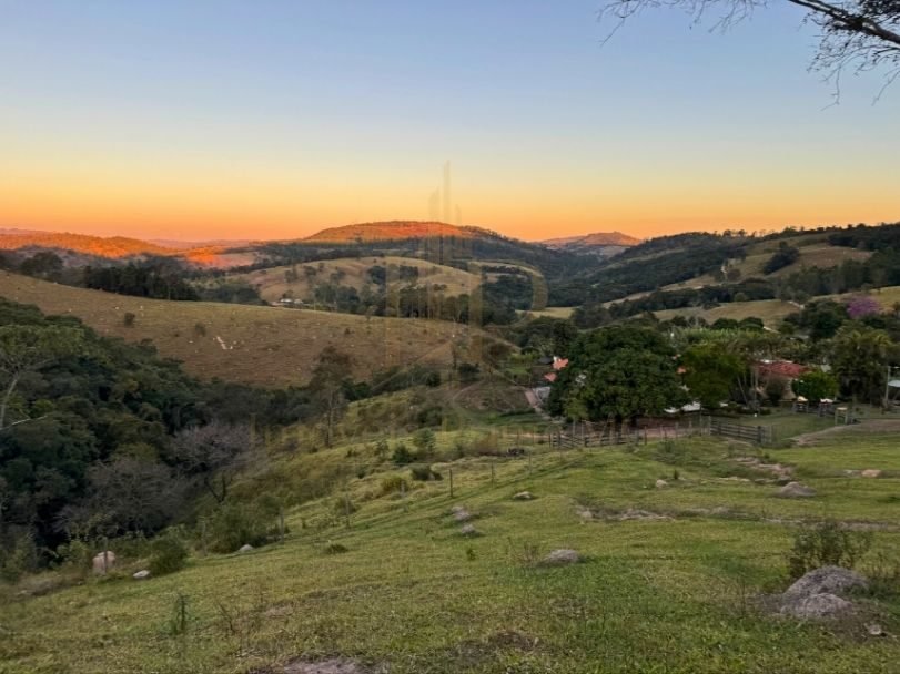 Fazenda Tombador em Itaúna/MG - Pasto Vista